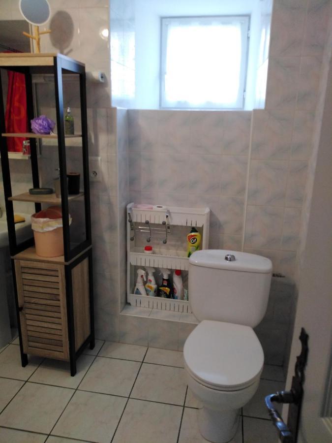 Chaleureux A La Campagne Apartment Saint-Germain-Laprade Ngoại thất bức ảnh